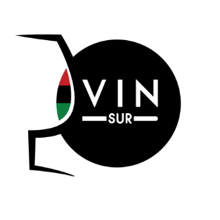 logo vinsur20 png